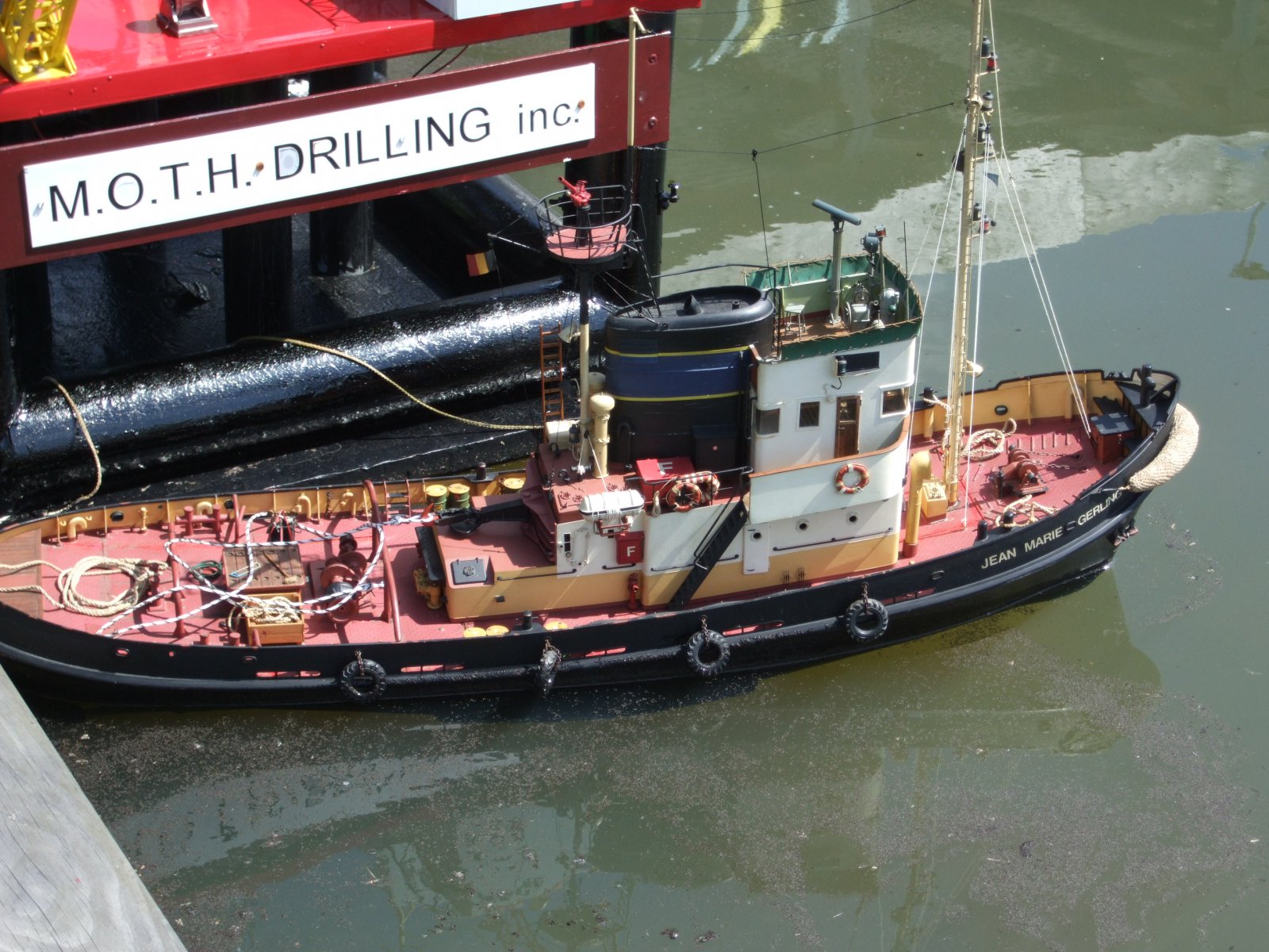 varen moth (28).jpeg