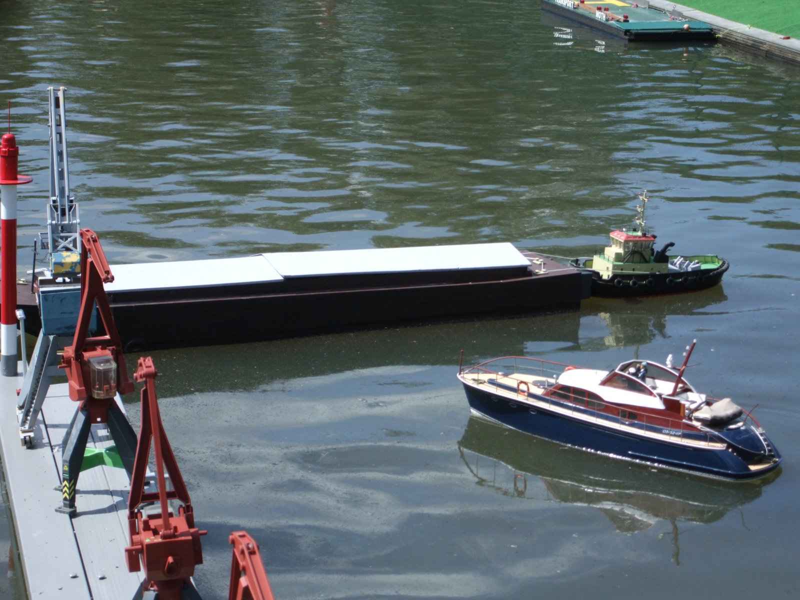 varen moth (3).jpeg
