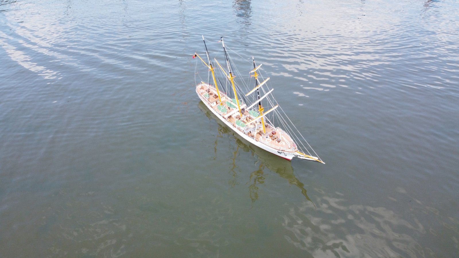 varen moth (538).JPG