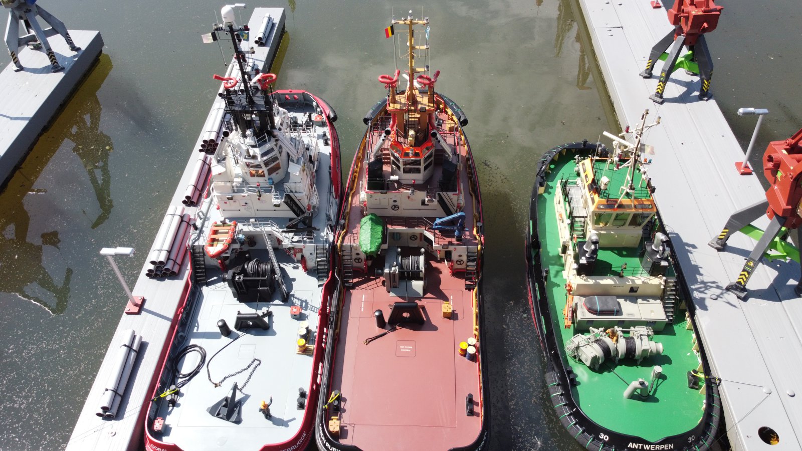 varen moth (557).JPG