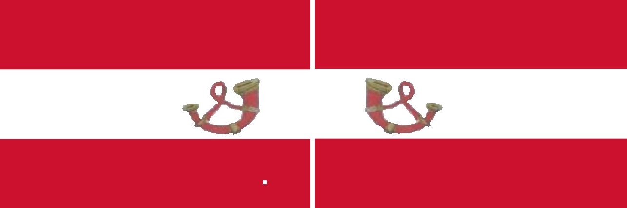 vlag met hoorndubbel.jpg