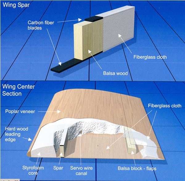 wing.JPG