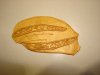 DSC05196.JPG