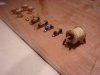 DSC05219.JPG