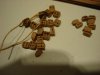 DSC05511.JPG