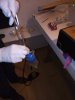 IMG_20201230_120258_638.jpg