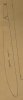 Wing profile root.jpeg