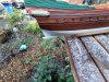 20230117_104731.jpg