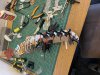 IMG_5343.jpeg