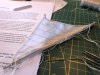 IMG_7248.jpeg