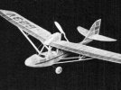 curtiss junior.jpg