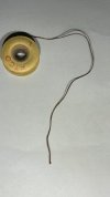 IMG_2439.jpeg