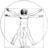 valke011