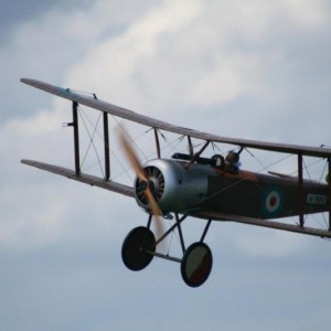 Sopwith Pup TomW (2008 - Show Royal Broken Wings))