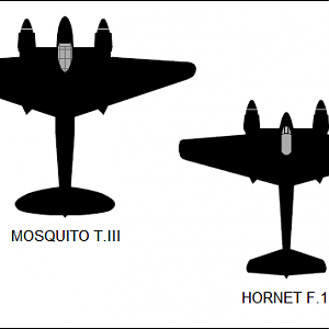 DH-Hornet__004