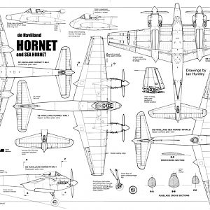 DH-Hornet__017