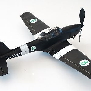 Aerographics_Chipmunk-086