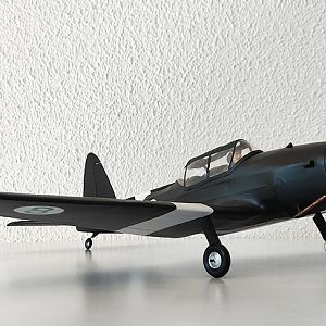 Aerographics_Chipmunk-089