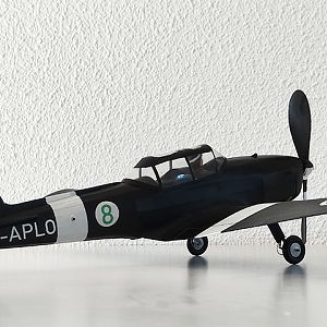 Aerographics_Chipmunk-090