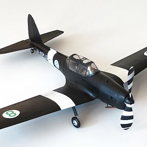 Aerographics_Chipmunk-092