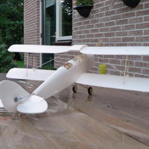 bouwfoto's Tigermoth