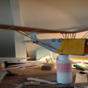 RWD-8