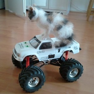 mijn modelauto's