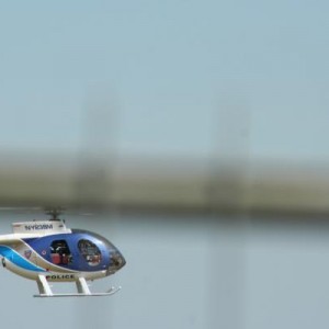 foto's elst