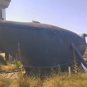 “Balieniera di New Bedford”