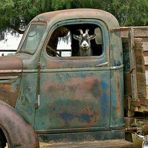 1938 reo speedwagon moonshine truck