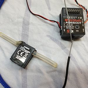 Trex 500