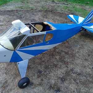 Piper Clipped Wing