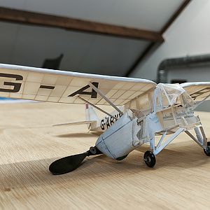 Peanut Puss Moth