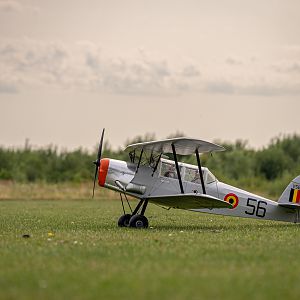 Svenson Stampe 1/5