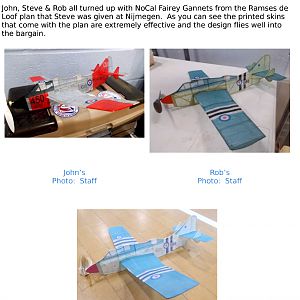 Fairey Gannet | Profile Scale