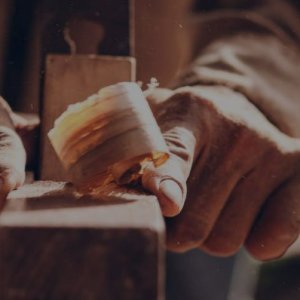 Professor Wood
