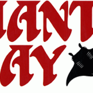 Tamiya Manta Ray weer laten rijden