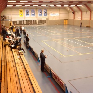 Indoorvliegen Dordrecht