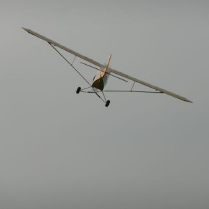 piper1