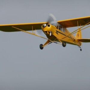piperpa18