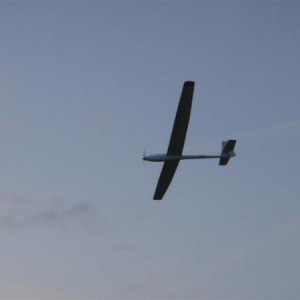 P5170015 (Medium)