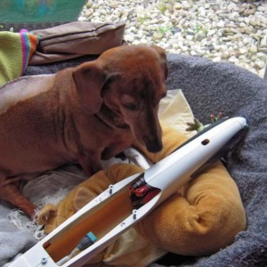 Een lamme F5B mascotte... 8 lentes jong... dat 'ding' in haar mand vond ze overigens maar niets... help, mijn baasje heeft een hobby...