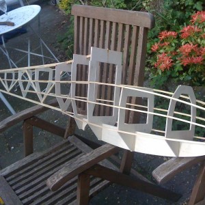 Rhönlerche6