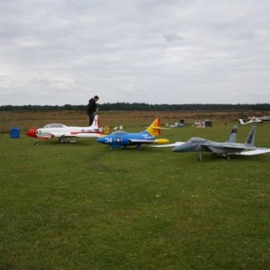 Op de hei in Ede