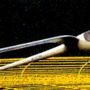albatros1