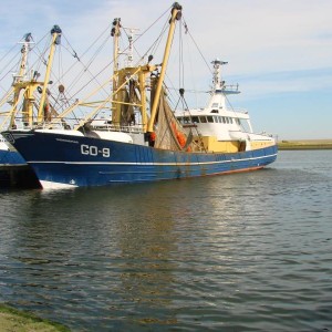 DSC01340