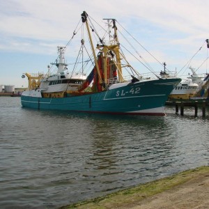 DSC01341