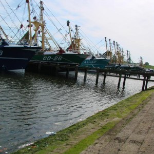 DSC01336