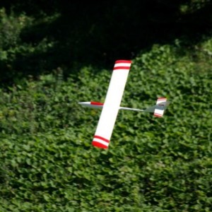 IMGP2986