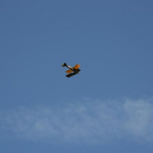 IMG 0685 lowres25